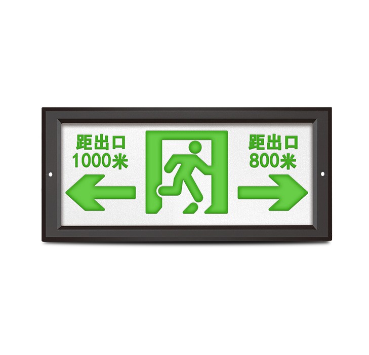 H系列-应急标志灯-防水款(图形可定制)